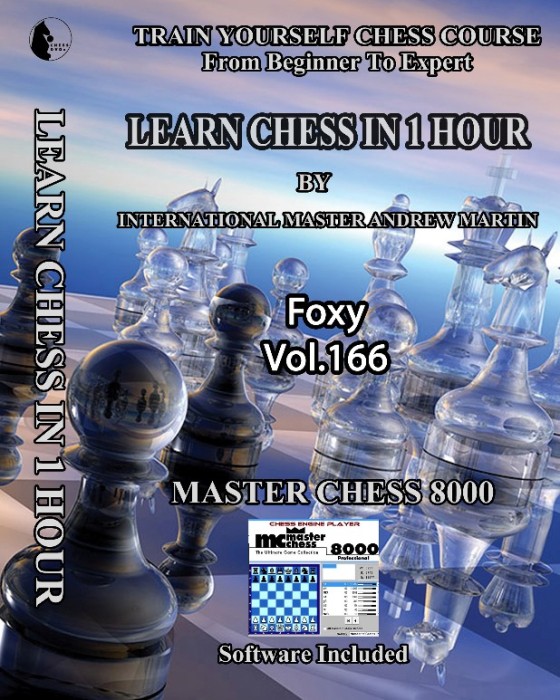 Foxy Chess 166 - Learn Chess In 1 Hour - IM Andrew Martin